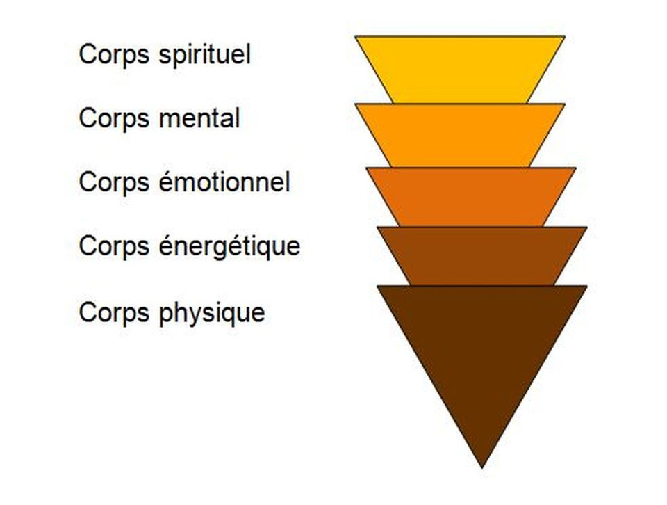 Article Le corps et l'esprit ne font qu'un