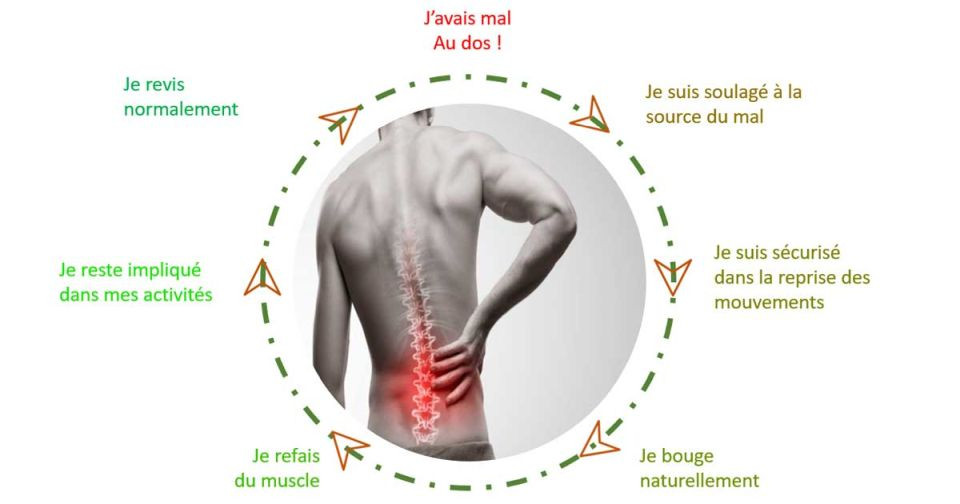Article Le mal de dos