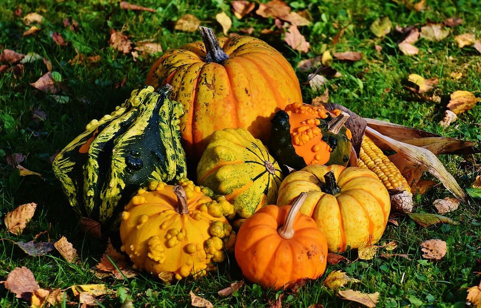 Article Les bienfaits des courges d’automne