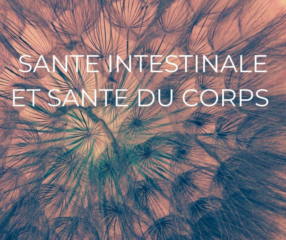 Article Notre santé est liée à la santé de nos intestins