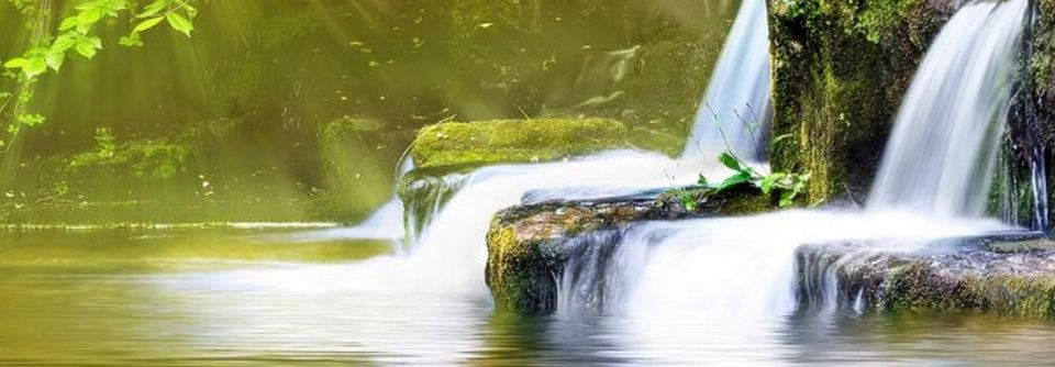 Article : Objectif Bien Etre 2014 -2015