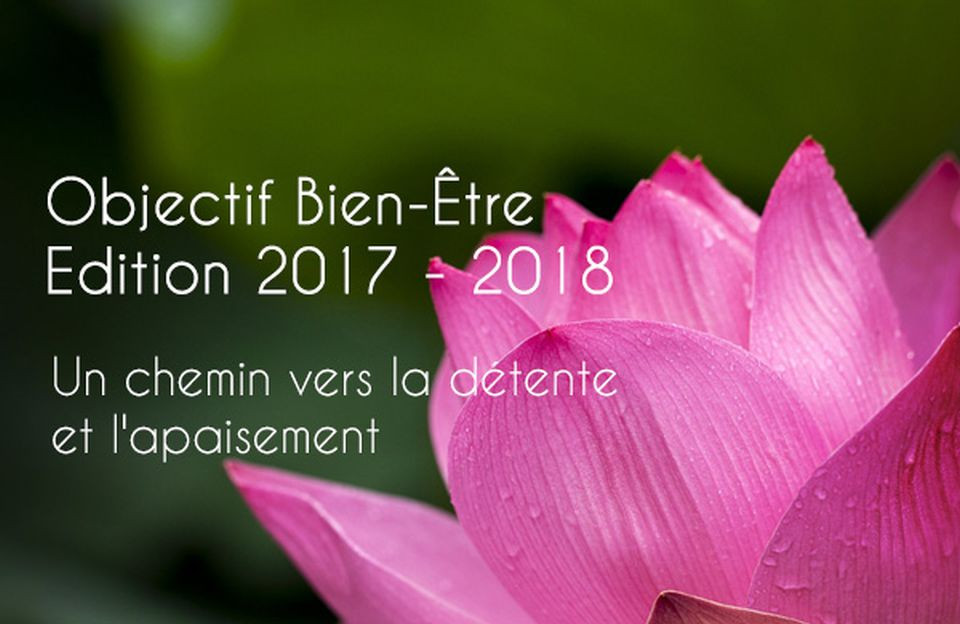 Article Objectif Bien-Être 2017 - 2018