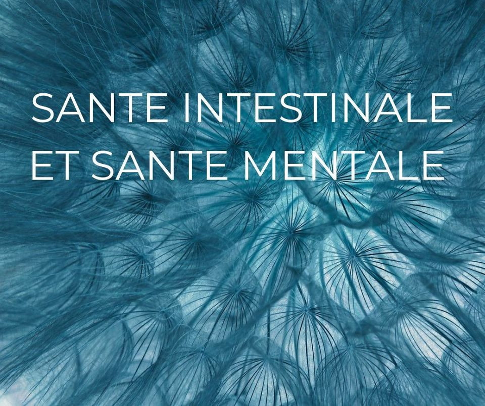 Article Santé mentale et microbiote