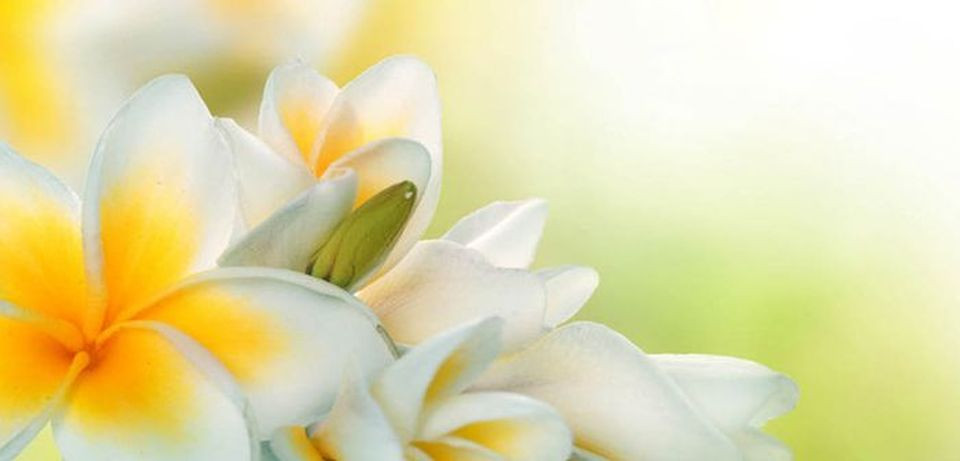 Article : Se relaxer participe au bonheur!