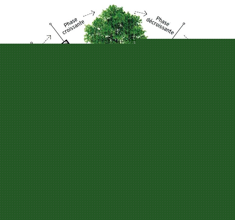 Atelier : L'intersaison : Se Centrer, Se Recentrer, Se Stabiliser